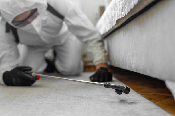 Professional Termite Control technician working in Allyn, WA