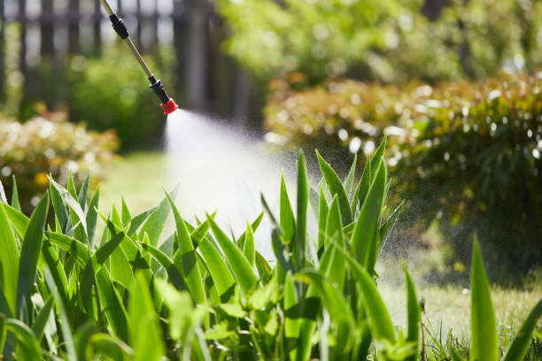 24/7 Emergency Termite Control experts in Allyn, WA