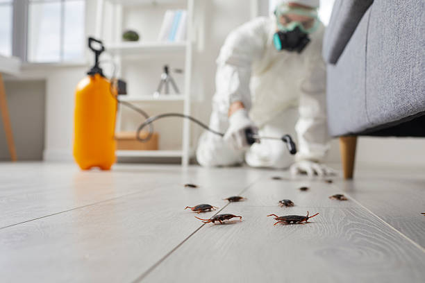 Affordable Termite Control solutions in Allyn, WA